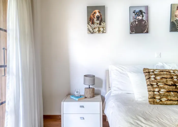 Fireplace Bbq Close To Lift Champéry