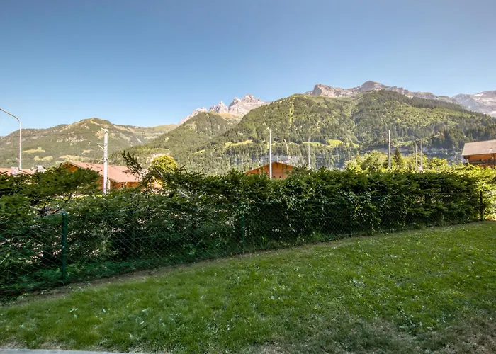 Fireplace Bbq Close To Lift